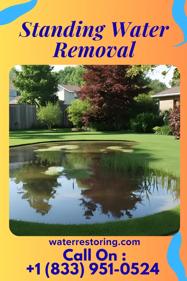 Standing Water Removal in Pensacola Station, FL